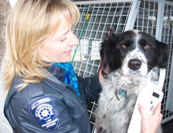 Council officer holding dog
