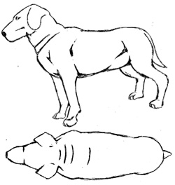 Sketch of overweight dog with some rolls of fat around neck and no definition in body