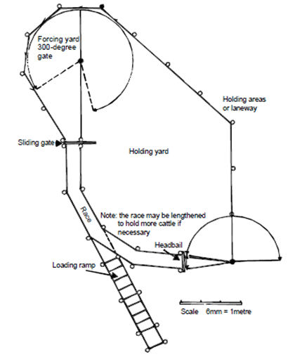 A circular cattle-handling facility for 10 to 50 head
