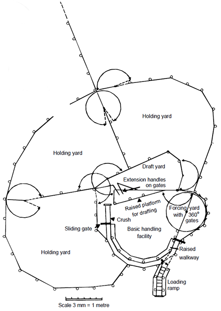 An example of holding areas to the basic holding facility