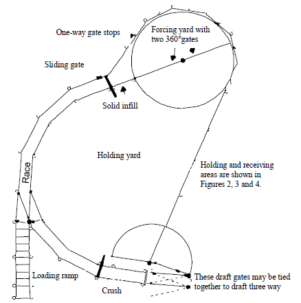 Features of the handling facility showing loading ramp, holding yard, race; sliding gate and one-way gate stops