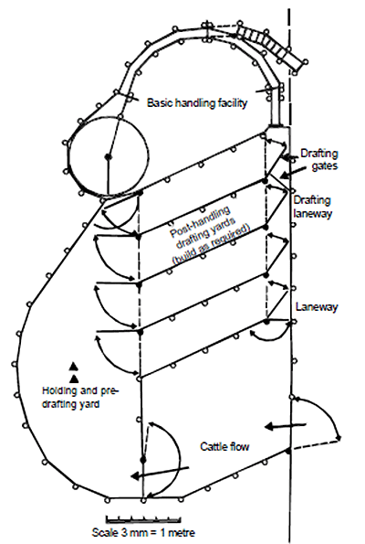 Laneway drafting in lanes and yards attached to the basic handling facility