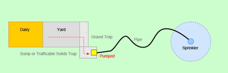 Effluent from yard pumped via gravel tap, pipe to sprinkler 