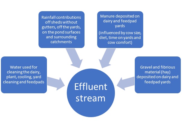 Figure 2 shows illustrates the contributions from the dairy into dairy effluent.  Effluent is made up of water used for cleaning the dairy and yard, rainfall falling onto yards and other surfaces such as ponds, manure deposited on yards and feedpads as well as gravel and fibrous material.   