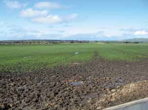 A paddock with a large area that is being damaged by pugging