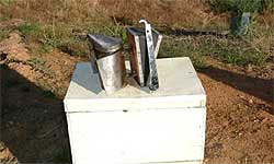 A smoker (100 mm barrel) and hive tool