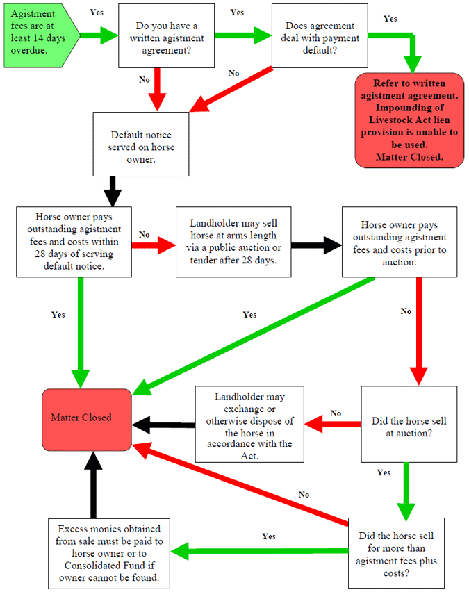 Flow chart depicting the steps of the Horse Agistment Lien process