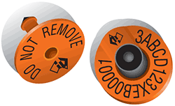 Orange cattle tags