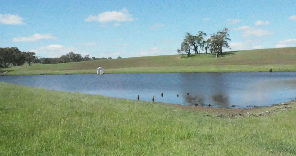 A 20 megalitre gully dam on Andrew Edgar's western district property