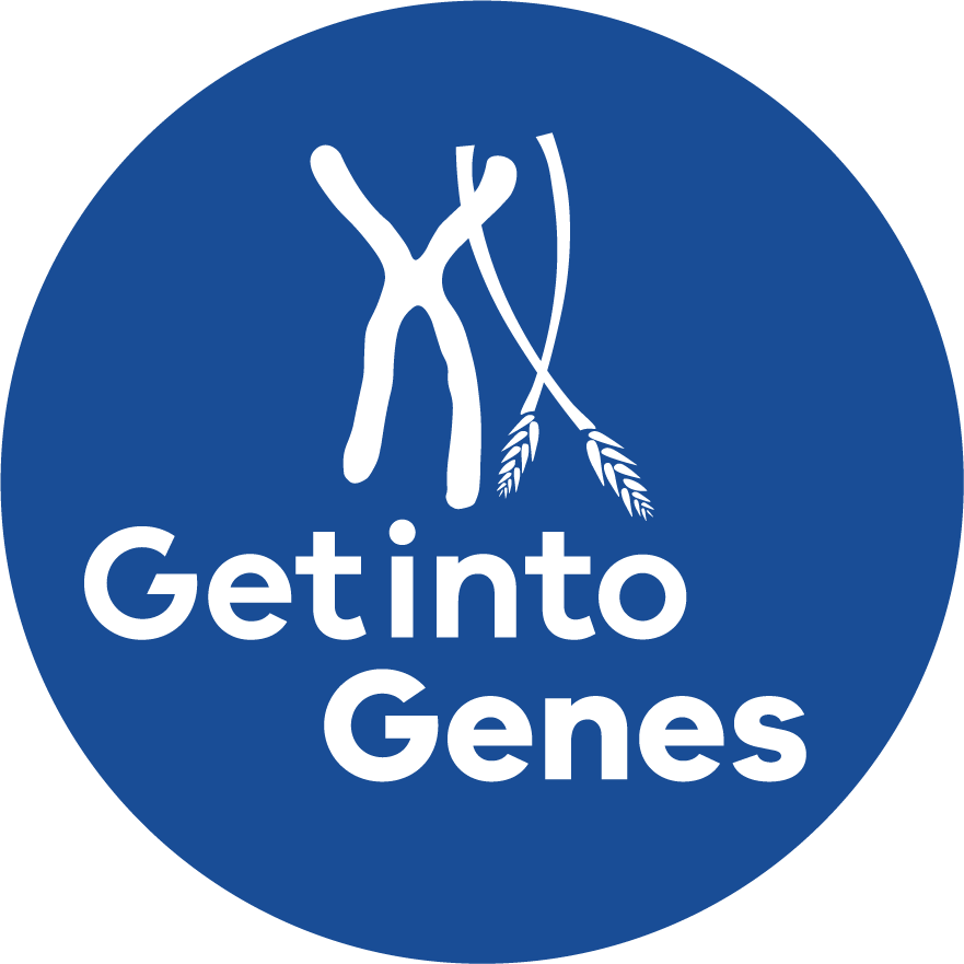 Image shows wheat crossed with X symbol representing DNA