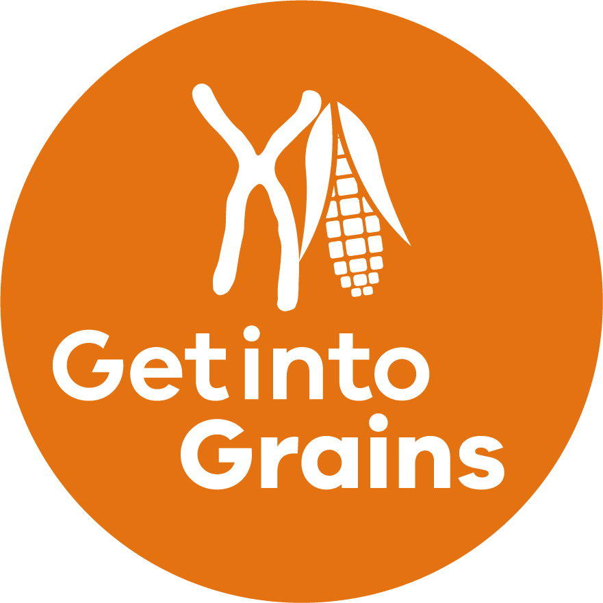 Image shows a corn cob crossed with X symbol to represent DNA