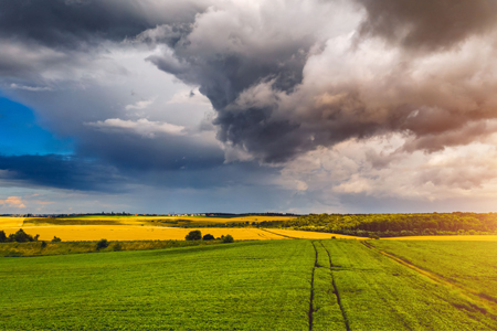 Green and yellow pasture with storm clouds above