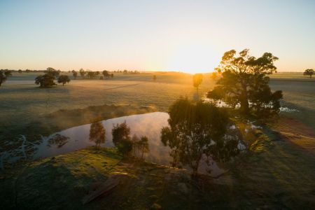 Farm dam in paddock at sunrise