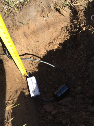 Image of soil moisture sensor