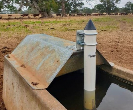 Tube device inserted in drinking trough