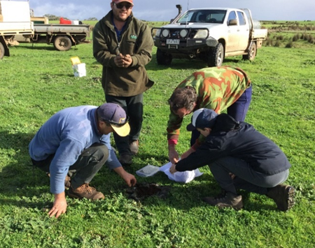Releasing dung beetles (Bubas bison) at the Keiller’s property, Cashmore Park.