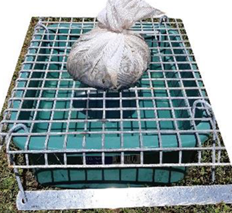 Dung beetle trap (with liquid in the tray)