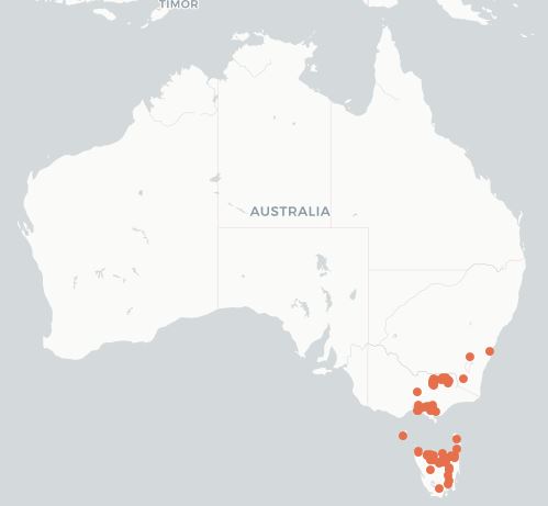 Map showing presence of Geotrupes spiniger in NSW, eastern Vic and Tasmania  