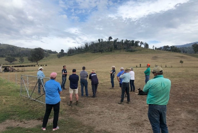 people in paddock at field day