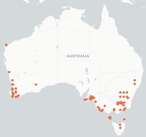 Map of Australia showing O taurus distributed across WA, SE S.A, NSW, Vic and Tasmania