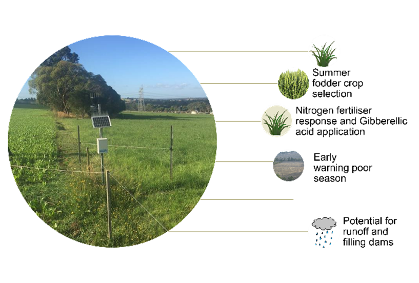 moisture soil probes