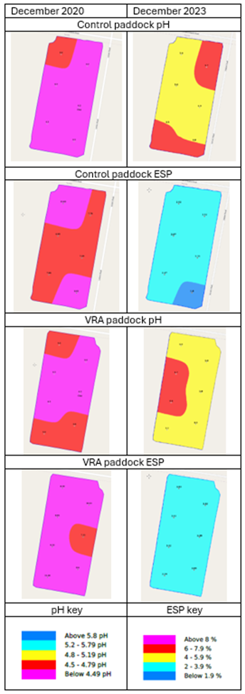 Table with Dec 2020 Olsen maps on LHS and Dec 2023 on RHS. Control paddock map showed pH was largely below 4.49 but shifted to mostly 4.8-5.19 with some 4.5-4.79 areas. The Control ESP shifted from 6- 7.9 and above 8% to mostly 2- 3.9 with one area below 1.9%. The VRA paddock pH was below 4.79 and shifted to mostly 4-5.9%. ESP shifted from mostly above 8% to entirely between 2-3.9%.