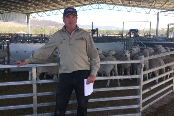 Scott Howell stands in front of a pen of sheep in a feedlot