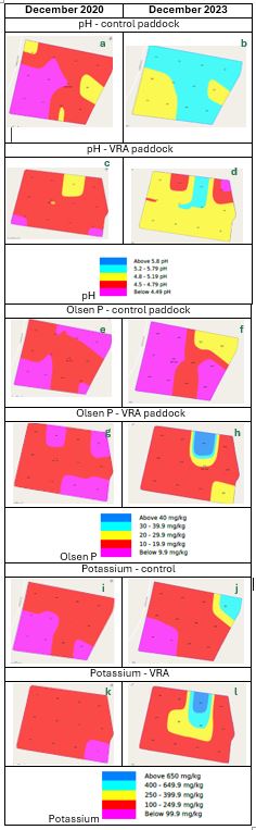 Table with 2 columns. LHS December 2020 maps and RHS December 2023 maps. First row shows the control paddock which shifted from mostly below 4.5 pH to mostly between 5.2 and 4.8 pH. Second row the VRA paddock shifted from mostly 4.5-4.8 pH to mostly 4.8-5.2 pH. 3rd row, Olsen Phosphorus in the control paddock was similar at below 9.9-29.9 but increased in one corner to 20-30. The VRA paddock was mostly 19.9 or below and was similar in 2023 but had developed a hotspot of above 40mg/kg. The potassium maps were quite similar (mostly below 250 mg/kg) though had developed a hotspot in one corner that reached 400-650 mg/kg. The VRA paddock was also mostly below 250mg/kg initially but also developed a hotspot reaching above 650mg/kg.