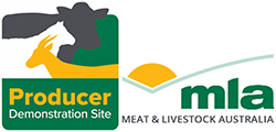 Combined logo for Meat & Livestock Australia and the Producer Demonstration Site program