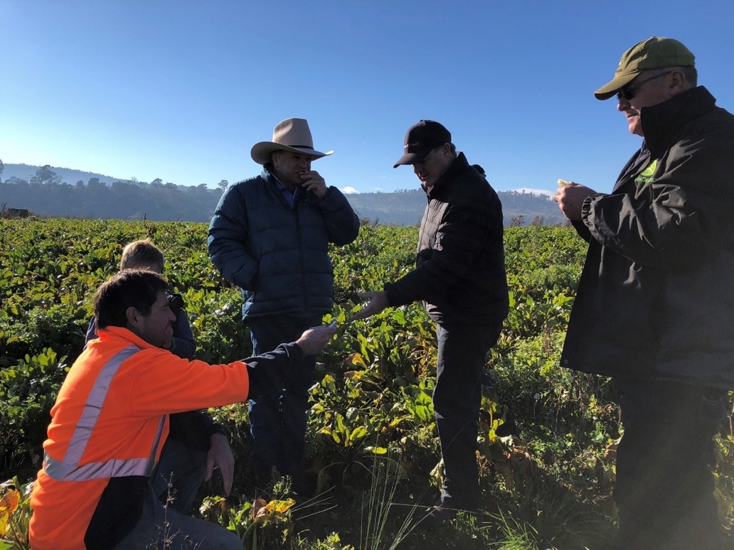Upper murray BetterBeef group in a paddock looking at a crop