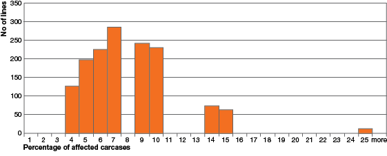 Bar graph with the percentage of affected carcases from 0 to 25 along the x-axis and the number of lines from 0 to 350 along the y-axis