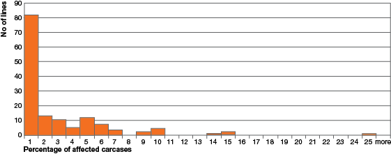  Bar graph with the percentage of affected carcases from 0 to 25 along the x-axis and the number of lines from 0 to 90 along the y-axis