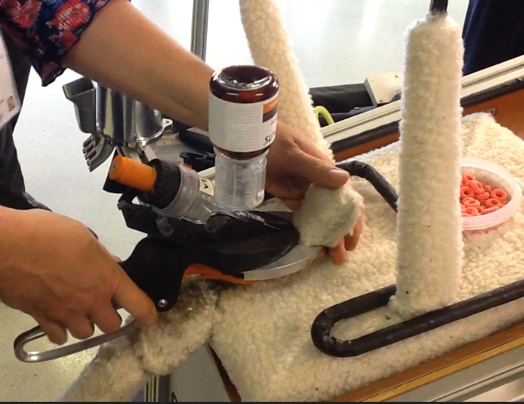 Photo of a demonstration of a prototype NumNuts applicator