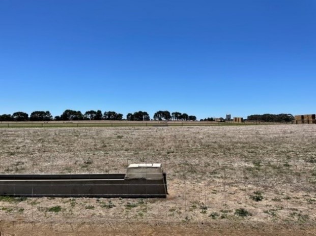 Bare containment pen with blue sky