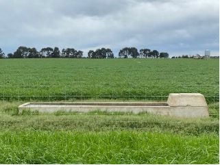 Lush green pasture and containment pen  