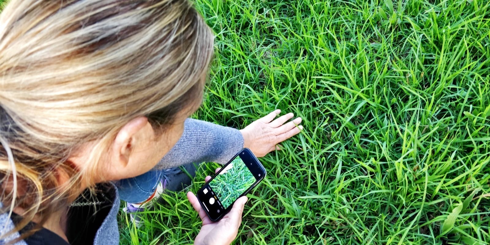 Picture of a person taking a photograph with a mobile phone, the screen is visible