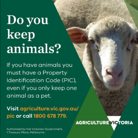 Advert reminding animal owners that they must have property identification codes for them, even if they're pets.