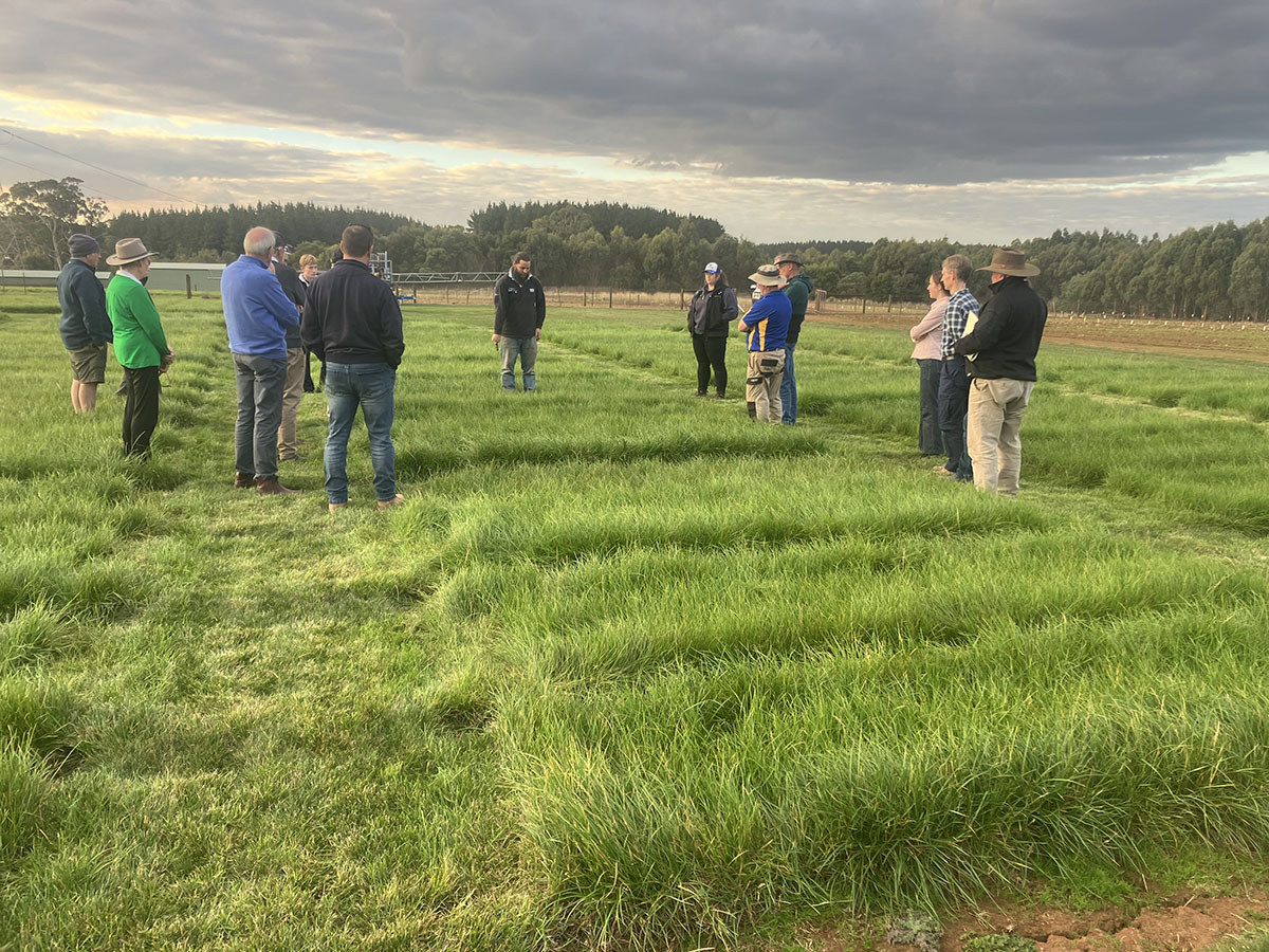 A group of farmers inspect a field of rye
