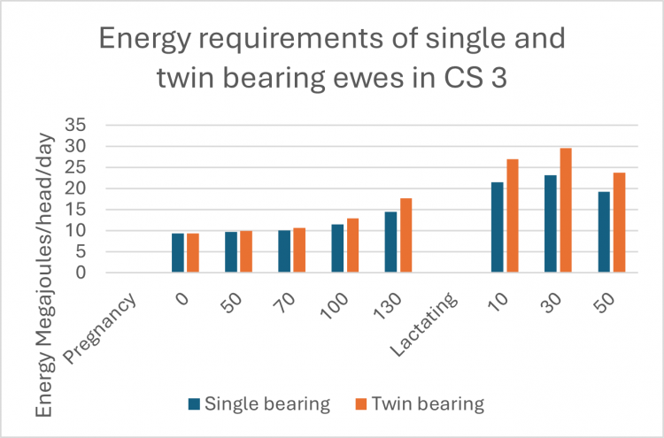 A chart showing the energy requirements of single and twin bearing ewes