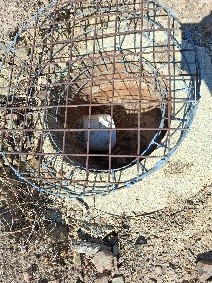 Trickle pipe in dam wall