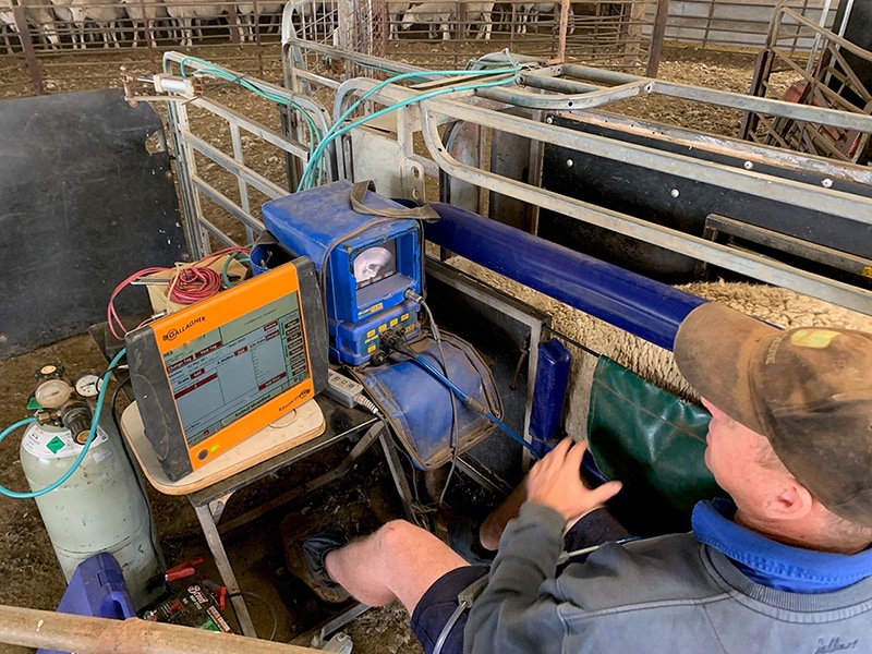 Matthew Ipsen using EID during pregnancy scanning.