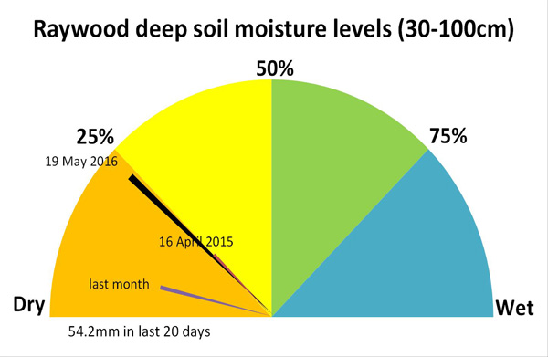 Soil moisture speedos illustrate the changes in deep soil moisture levels (30-100 cm) over time.  In this example at Raywood, soil moisture was in the dry range (less than 25% moisture capacity in May this year and in July 2015 it was still less than 50% capacity.  By July 4 this year, soil moisture had increased to above 50%.