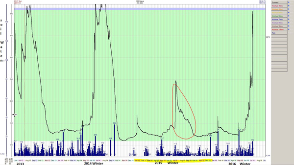 At the Lake Bolac site, there has consistently been maximum water holding  in most winters  (as in 2013, 2014 and 2016) but not in the dry year of 2015 when It was less than half capacity.