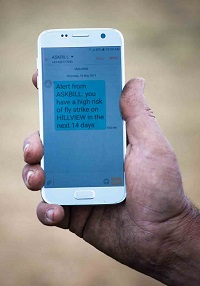 A phone with a text message reads: "Alert from ASKBILL: you have a high risk of fly strike on HILLVIEW for the next 14 days.