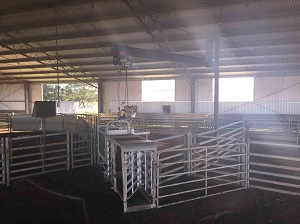 Nathan Scott advises that if you have an autodrafter, make sure it is set up ready to use. Here, Tony Fleetwood has it on a gantry with an electric winch to hoist it out of the way; air hoses always connected