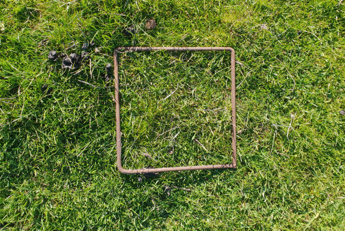 A metal quadrat on the ground.