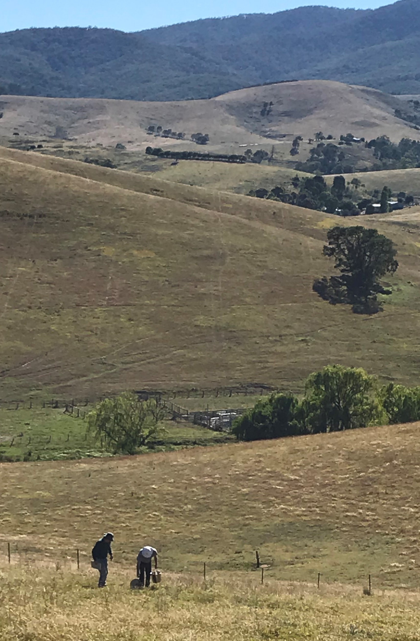 Figure 1: Reedy flat site February 2018 2 men preparing a paddock