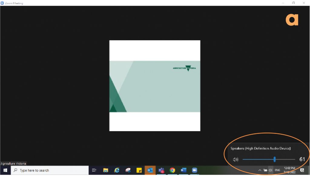 screenshot of Zoom meeting screen with speaker volume setting circled to indicate this should be checked and adjusted during a zoom meeting