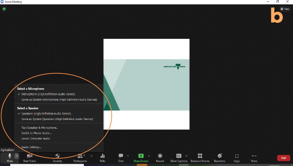 screenshot of Zoom meeting screen showing the settings to select microphone and speakers 