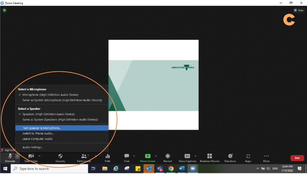 screenshot of Zoom meeting showing audio menu and with test microphone and speaker option highlighted